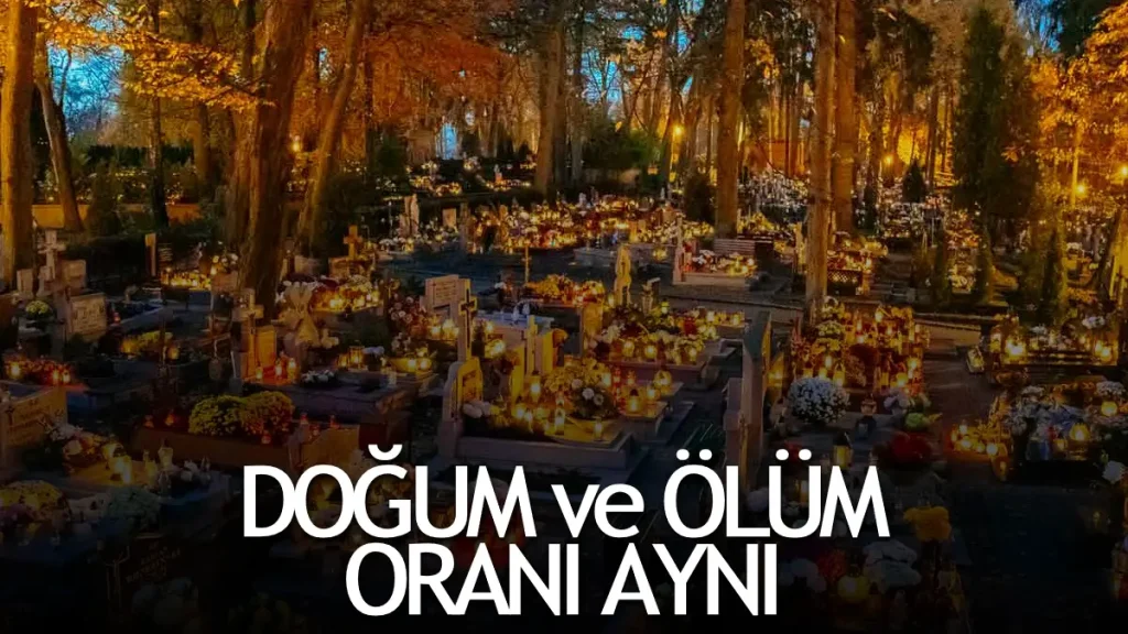 Polonya’da ölüm ve doğum oranları