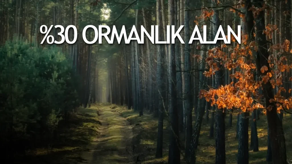 Polonya Hakkında