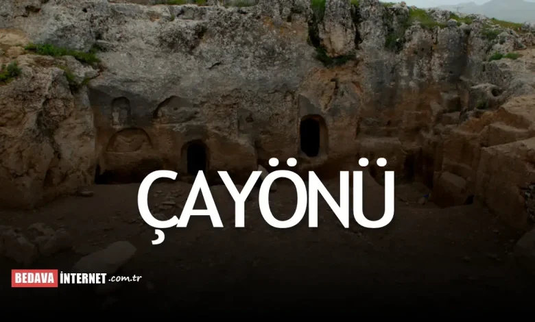 Çayönü nerede