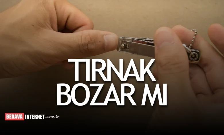 sevimli dostlar tamirci