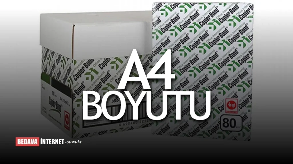 A4 Boyutu