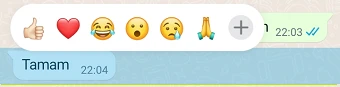 WhatsApp Mesaj Beğenme Emojisi Değiştirme