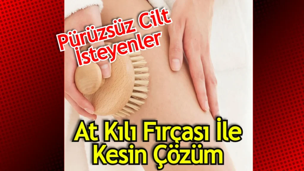 At Kılı Fırçası Nasıl Kullanılır