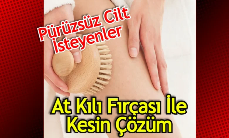 At kılı fırçası nasıl kullanılır
