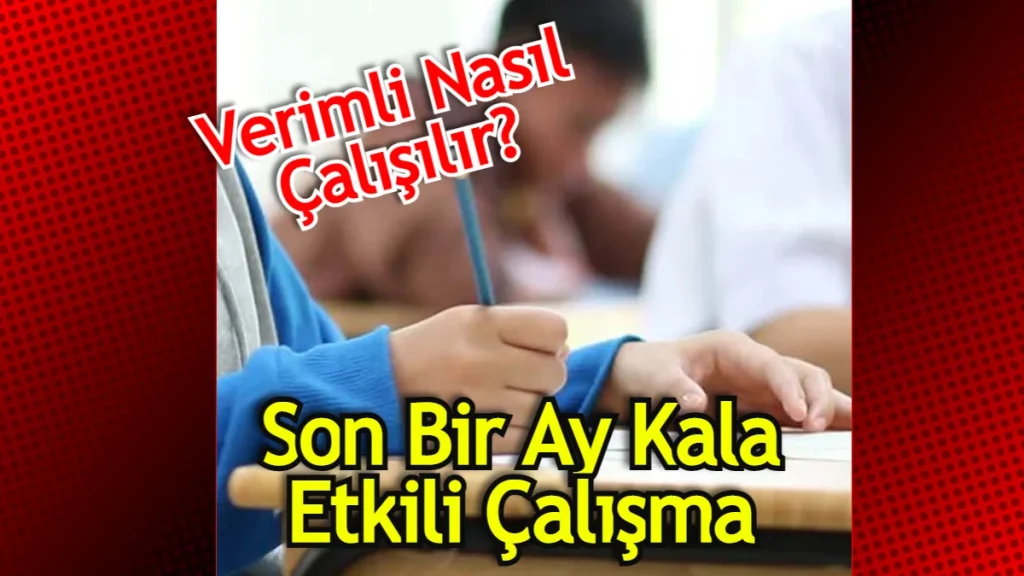 LGS'ye Bir Ay Kala Nasıl Çalışılmalı