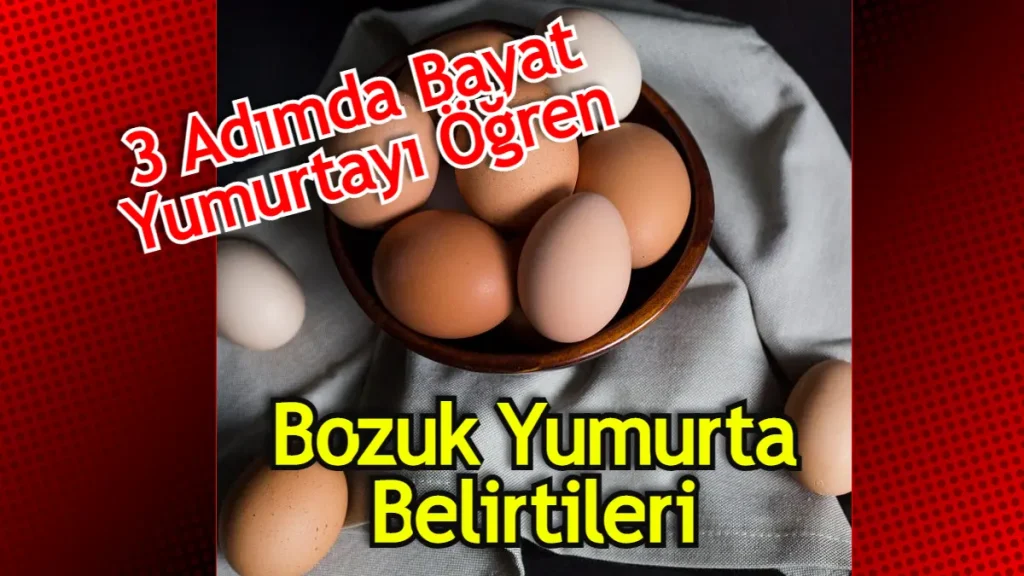 Yumurtanın Bozulduğunu Nasıl Anlarız