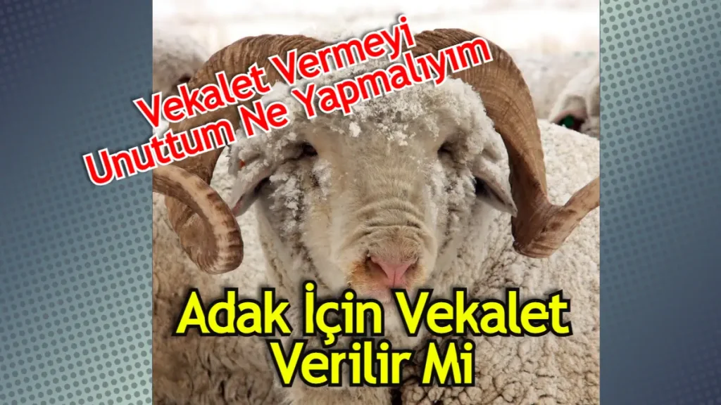 Adak Vekaleti Nasıl Verilir Diyanet