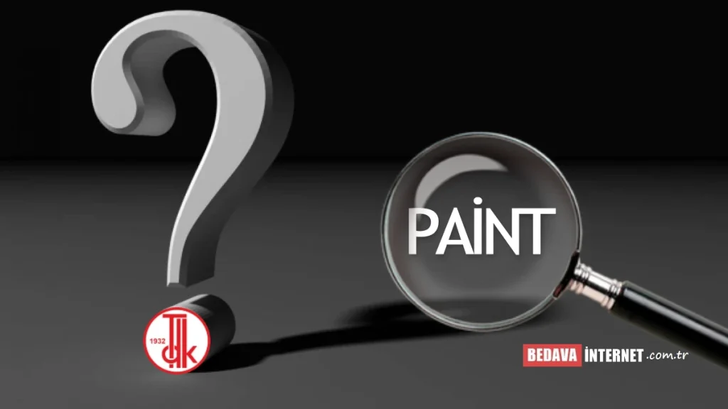 Paint Ne Demek