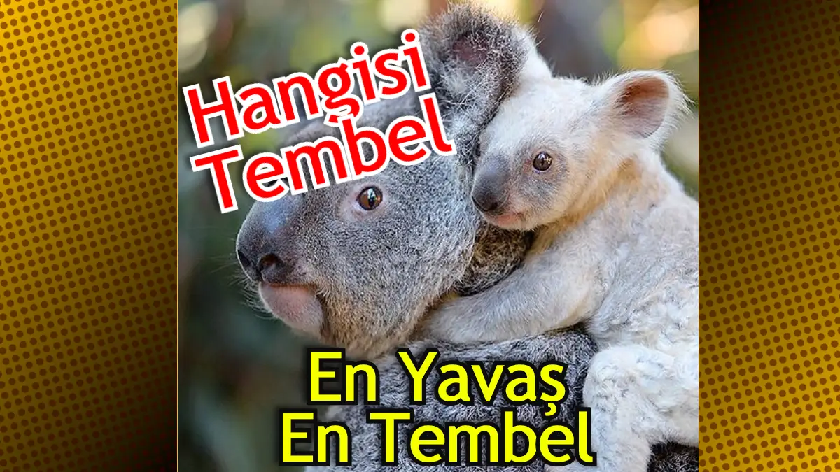 Tembel hayvan