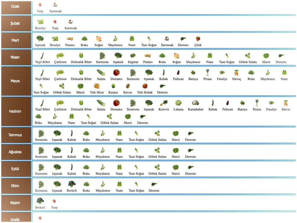Hangi Ayda Ne Ekilir Tablosu