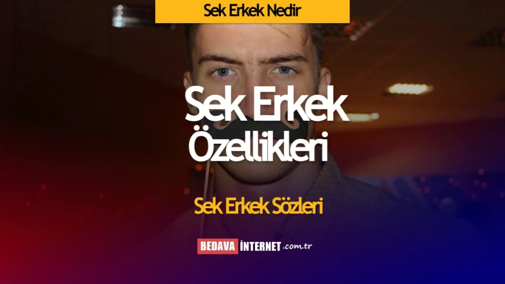 Sek erkek nedir