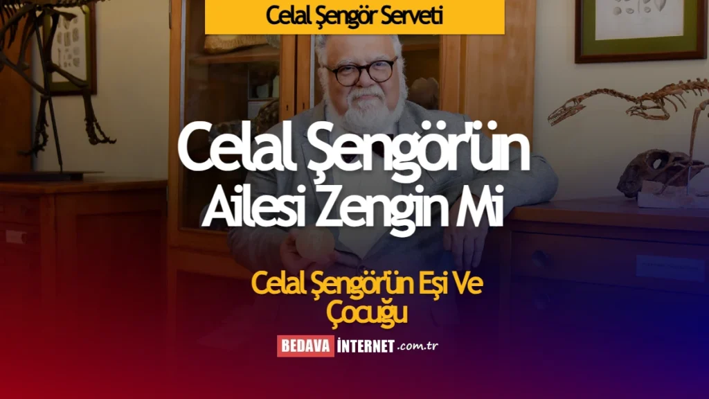 Celal Şengör'ün Serveti