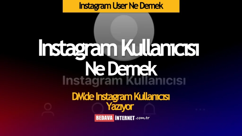 Instagram User Ne Demek