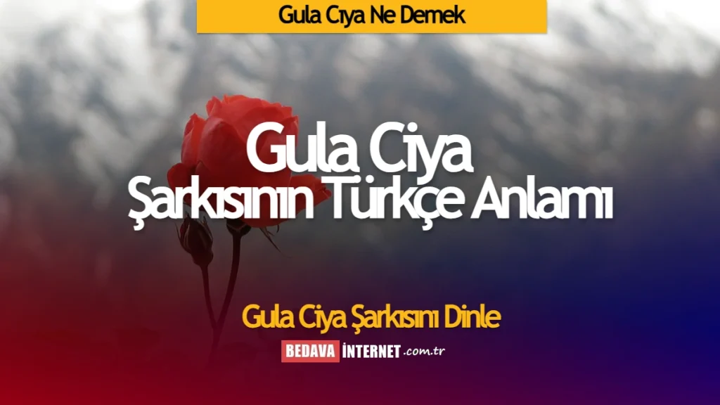 gula çiya ne demek