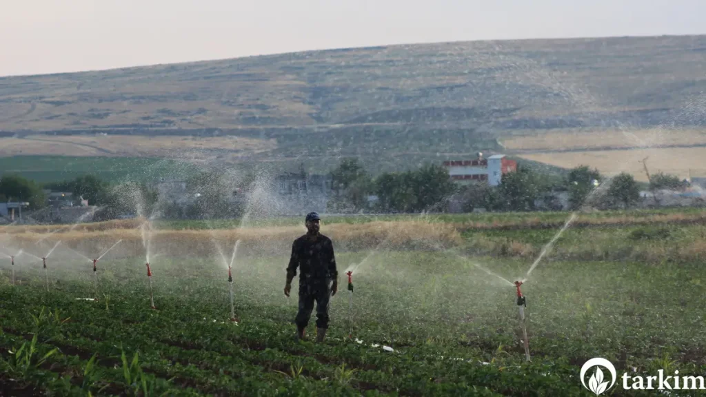 Eylül 2023 halka arz olacak şirketler - yeni halka arz olan hisseler