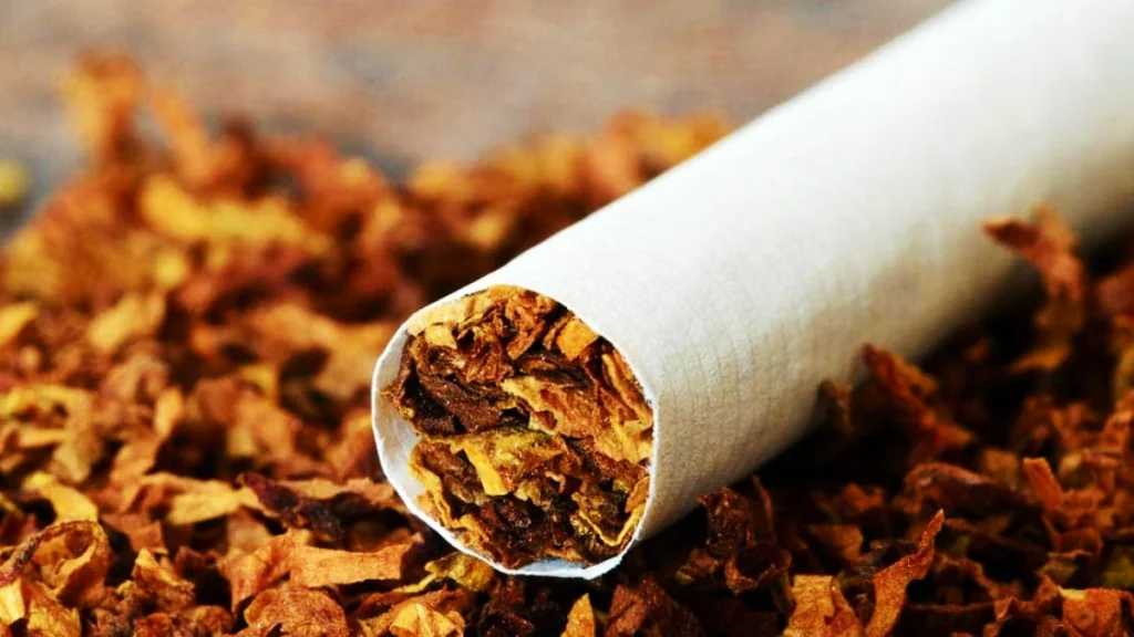 Bitlis Tütünü Fiyatı